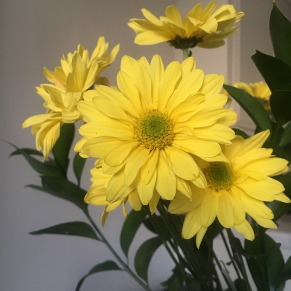 Meet your posher, Carey! - Picture 2 of 4